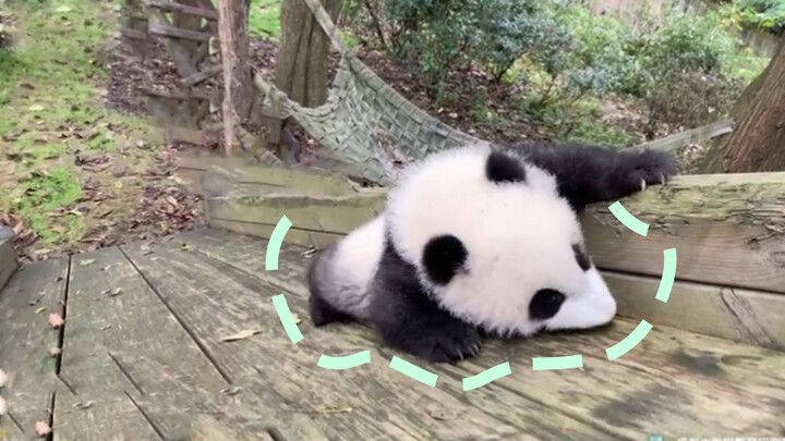Cheng Lang enjoying the slide (Pandas can understand the Sichuan language)