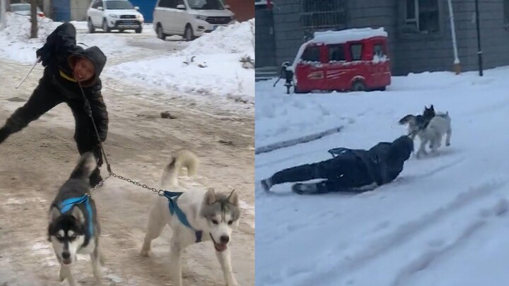 ชายคนหนึ่งพาสุนัขสองตัวไปเล่นหิมะแต่ถูกลากถูพื้น ชาวเน็ตหัวเราะทันที