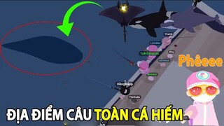 Play Together | Thử Thách Câu Cá Siêu Hiếm Cùng Team Màu Hường - Địa Điểm Câu Toàn Cá Hiếm