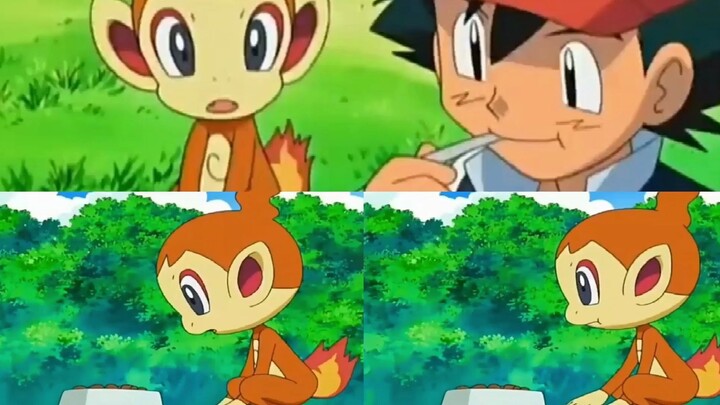 [Pokémon yêu tinh] Nước mắt của khỉ lửa nhỏ