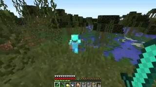 Minecraft Moment