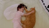 [Động vật]Khoảnh khắc dễ thương khi mèo và em bé ngủ cùng nhau