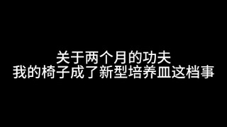 关于我舍友先到宿舍就送了我一个培养皿这档事...