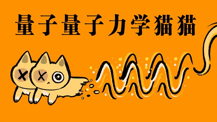 量子量子力学猫猫猫猫【萨卡班甲鱼】