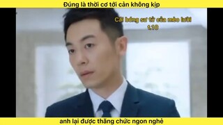 Cái bóng sư tử của mèo lười