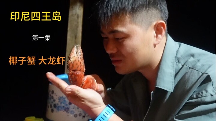 印尼四王岛：挑战海洋巨兽，捕捉椰子蟹、龙虾与琵琶虾
