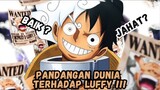 Pandangan Dunia Terhadap Luffy !!!