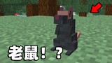Minecraft, but with a new pet rat! ?
