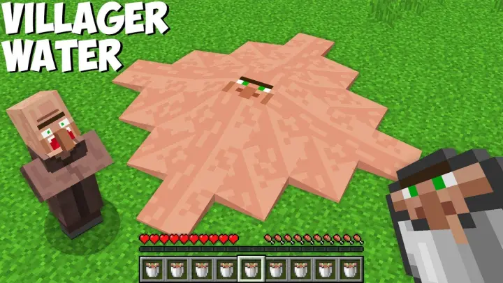 Why did I TURN VILLAGER INTO WATER in Minecraft ? SECRET VILLAGER LIQUID !