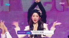 Butterflies (Music Core 181201)