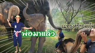 กลับมาหาแม่ทองศรีกับน้ำเพชรคิดถึงลูกสาวทั้งสองเลยลูก