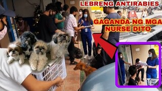 FREE ANTI RABIES SA VET NA ITO + tips BAGO AT PAGKATAPOS  ng ANTI RABIES at pagaalaga sa puppy