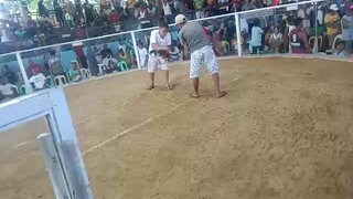 2ndfight loss.                         #mabinibohol