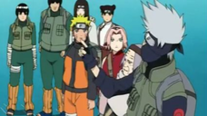 Naruto Shippuden Episode 18 Bahasa Indonesia