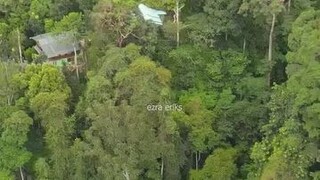 bukit lawang