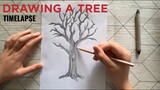 Drawing A Tree Timelapse