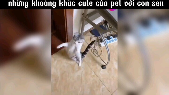 cute và hài hước 😂 #haihuoc