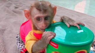 Most Beautiful Girl !! So cute when my tiny princess Yaya playing with milk container powder