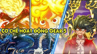 [Dự Đoán One Piece 1045] Cơ Chế Hoạt Động Gear 5, Zoro Tình Hình Xấu