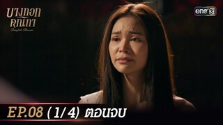 (ENG SUB) บางกอกคณิกา EP.08 (1/4) ตอนจบ | 30 พ.ค. 67 | one31