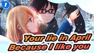 Your lie in April| By your light, I see the world as I have never seen it before._1