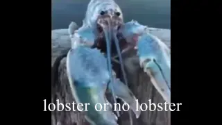 Memes that may get you lobstered