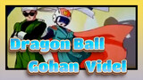 [Dragon Ball] Gohan & Videl --- Atas Nama Cinta