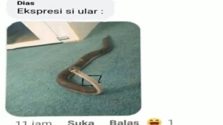 warga efbi : ketika ular dikira tasbih saat mati lampu