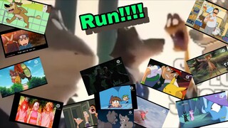 "Run!!!!" Compilation