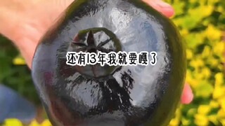 《心狠师妹》修仙文