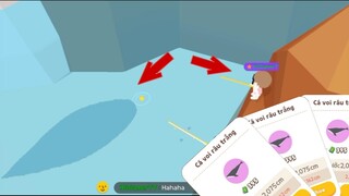 PLAY TOGETHER Leo Lên Cục Đá Săn Cá Voi Râu Trắng Bị Kéo Xuống Rơi Xuống Biển =))