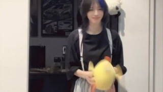 solo篇