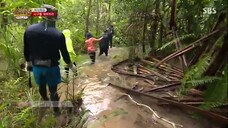 Law of the Jungle in Papua New Guinea :The Women Special [5] ENG SUB