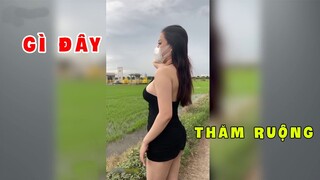 Những cảnh hi hữu vô tình ghi lại bởi camera cá nhân