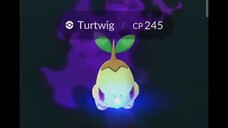 Pokémon GO-Shadow Turtwig