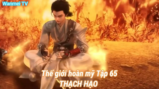 Thế giới hoàn mỹ Tập 65-THẠCH HẠO