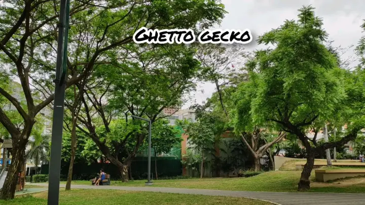 Ghetto Gecko Nonstop