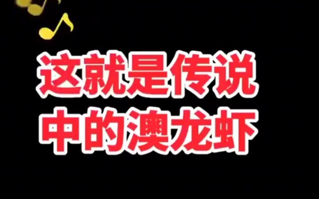 肖战采访，不知道澳龙虾的意思……