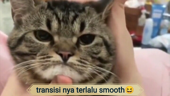 komuk nya itu lohhh 🤣🤣🤣🥰