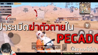 ปาระเบิดคิวตัวเองใน PECADO เพราะอะไรไปดู !!!