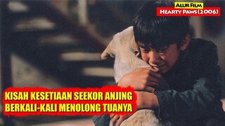 Kisah Seekor Anjing Yang Berkali-kali Menolong Tuanya | Alur Cerita Film HEARTY PAWS (2006)