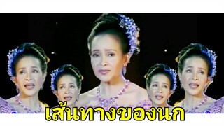 เส้นทางของนก - นกน้อย อุไรพร [ OFFICAIL MV ]