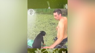 ủa gì dạ nó lanodos chó pet thucung dog funny xuhuong