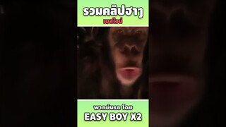 รวมคลิปฮา พากย์นรก #short #easyboy #คลิปฮา #เบสไวน์