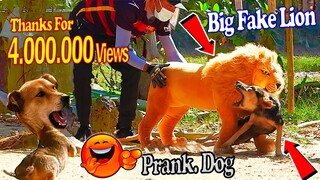 Big Fake Lion vs Prank Dogs - Must Watch Funny Video Will Make You Lough