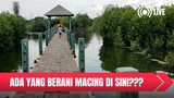 UJI COBA KEBERUNTUNGAN MANCING GRATIS DI KAWASAN HUTAN BAKAU PANTAI INDAH KAPUK