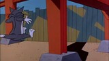 Khai mạc kỳ thi cuối kỳ với Tom và Jerry (thật khổ sở)