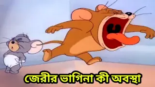 Tom And Jerry Bangla Cartoon New Dubbing Video.Funny Tom And Jerry Bangla _ টম এন্ড জেরী বাংলা ডাবিং