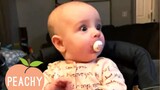 Babies Getting Startled By The Dumbest Things For 10 Minutes Straight