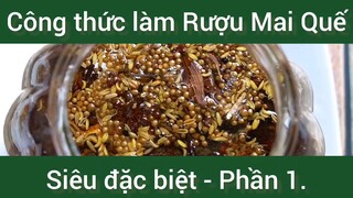 Công thức làm Rượu Mai Quế siêu đặc biệt phần 1